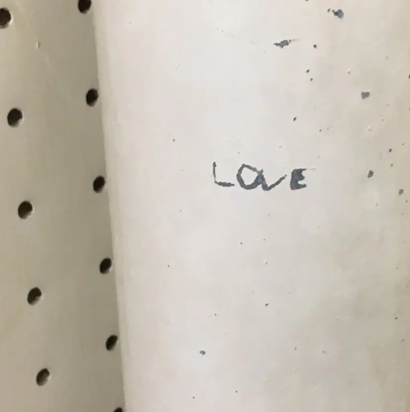 山口 芽依の掲載