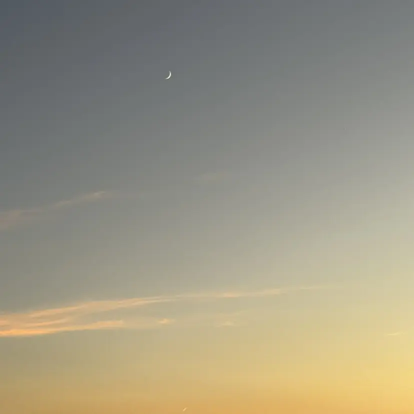 牲川 愛望の掲載