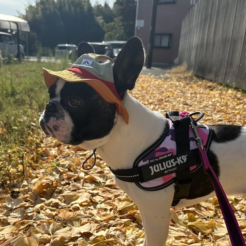 まなみ/ PORT SALONの掲載