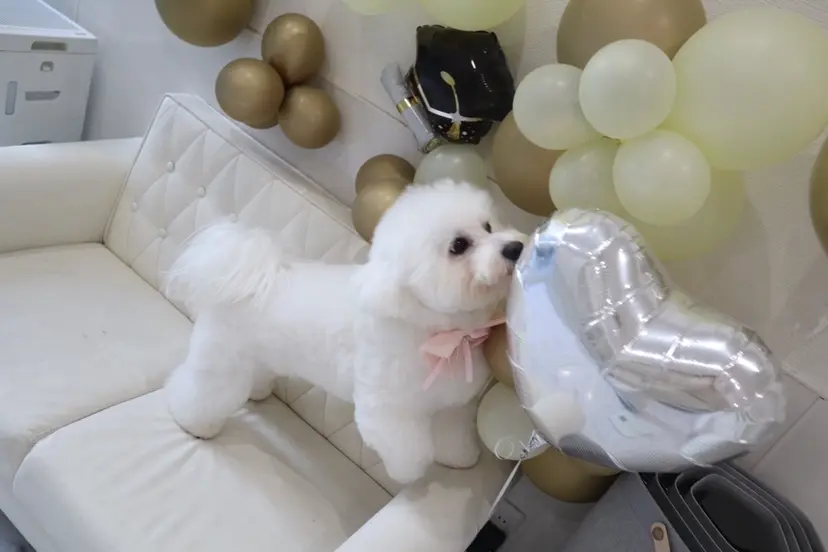 YUKA🐻‍❄️ 🎀当日予約ok/の掲載