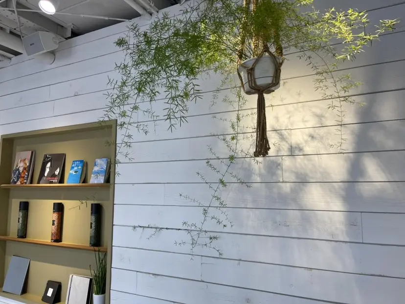 青木 くるみの掲載