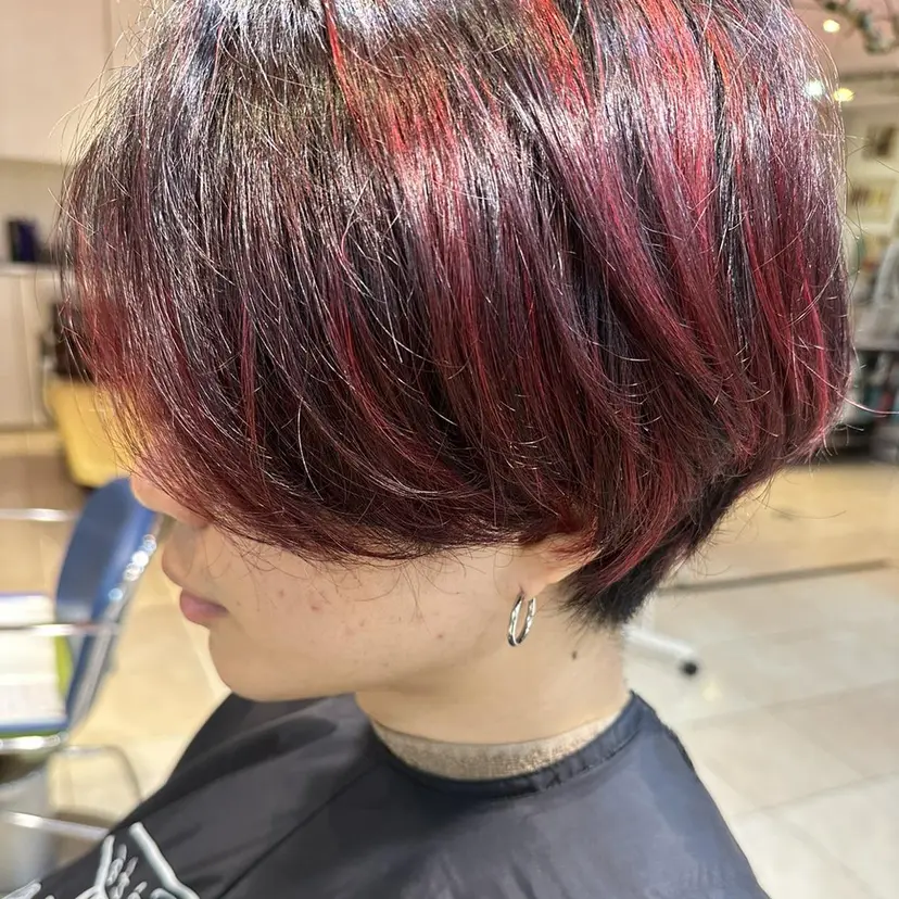 赤坂 柊誠の掲載