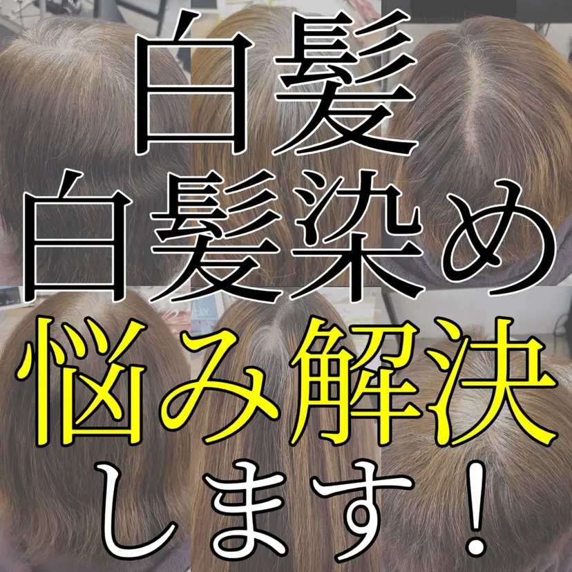 セイタ 4.50代大歓迎の掲載