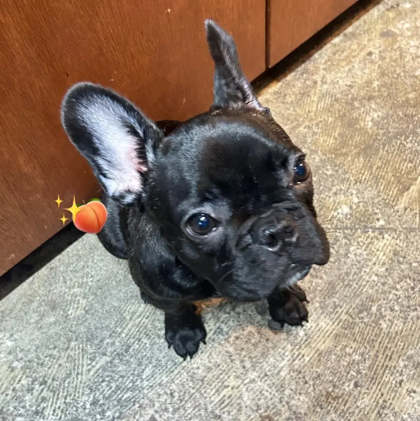 🍒ྀི🍓 そら🌺🩷ྀིの掲載