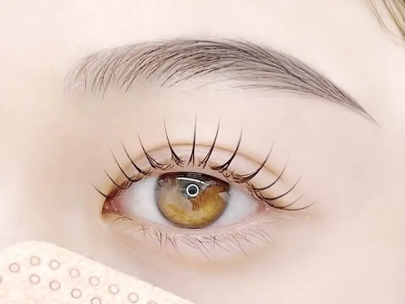 BeckyLash 札幌アカデミーの掲載