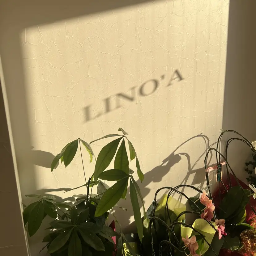 疋田 伽菜子の掲載