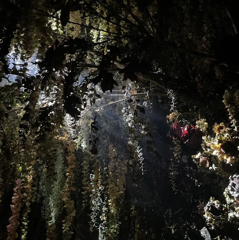 とば みゆうの掲載