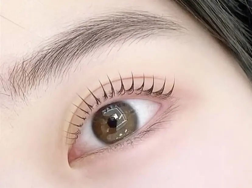 西山 雅子の掲載