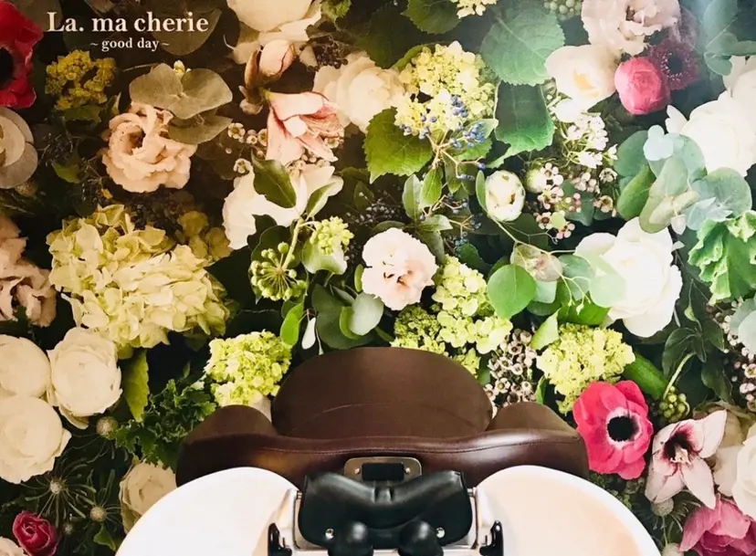 竹内 志帆の掲載