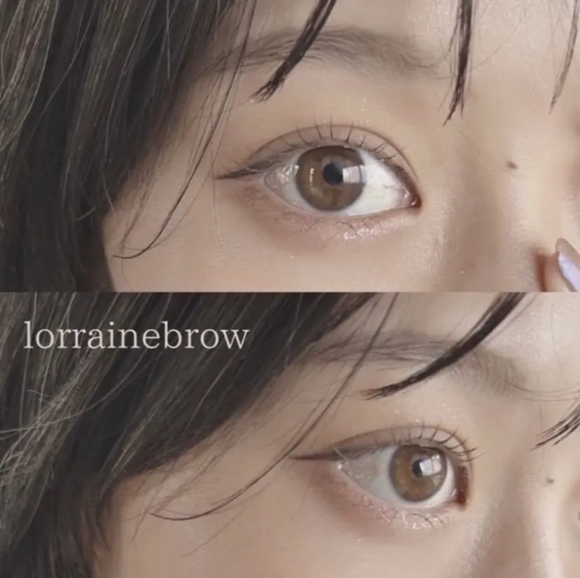 ロレインブロウ 水田の掲載