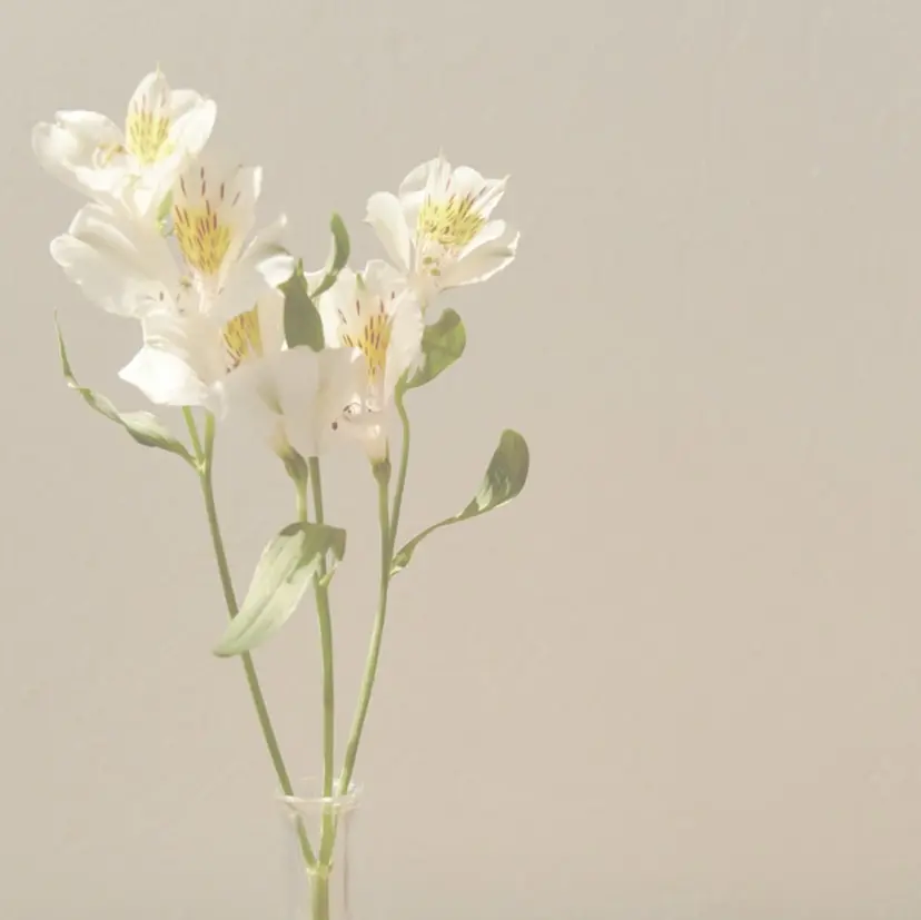 LINKS 東大宮の掲載