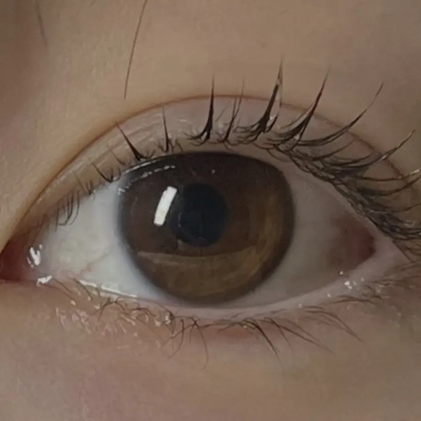 IRIS 石原の掲載