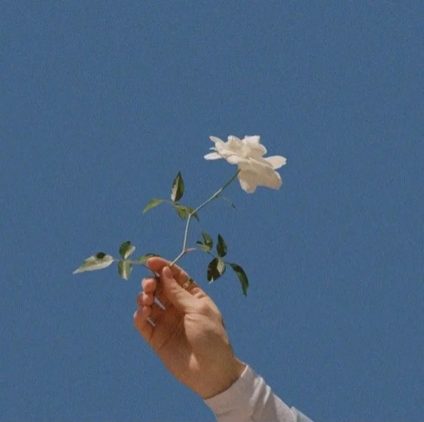 🧃Kawakami kotomi🧃の掲載