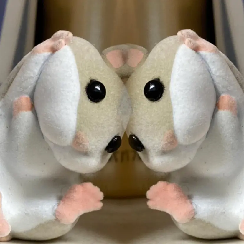 佐藤 はるとの掲載