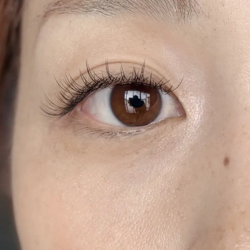 八藤 みさきの掲載