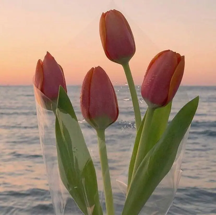 関口 明日香の掲載