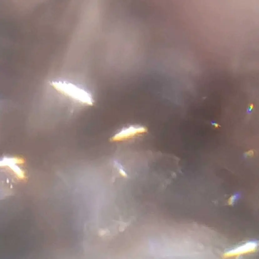 Lupines Asahi🔆の掲載