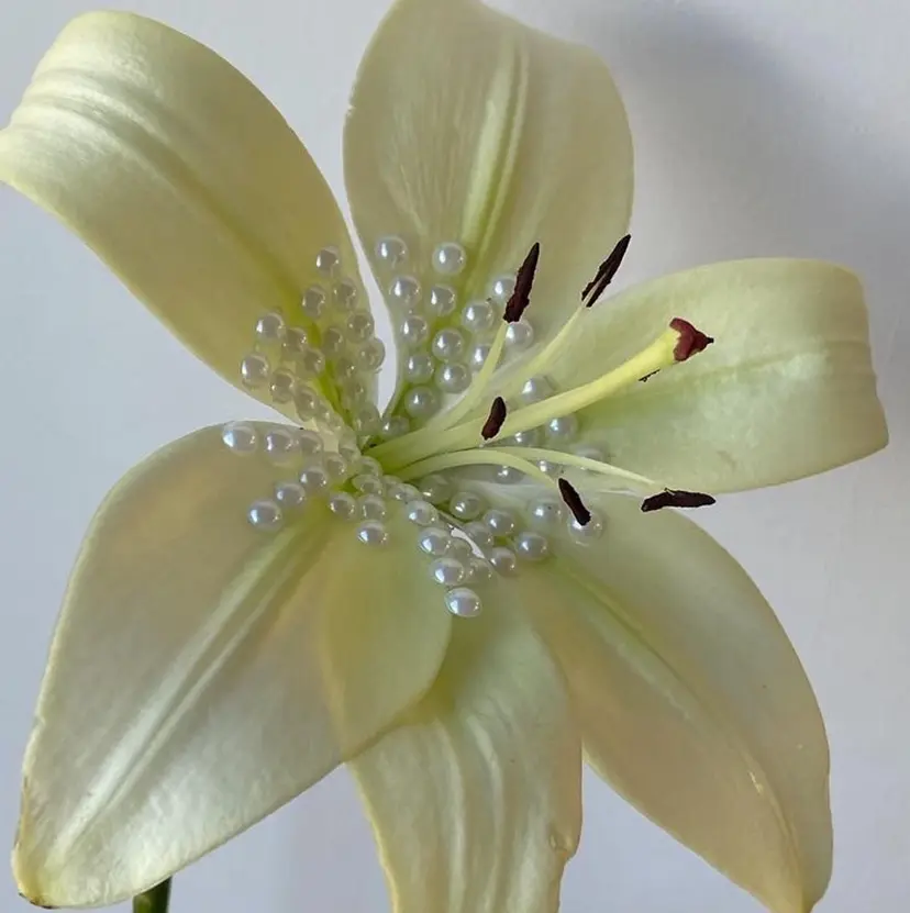 Kudo.J 🪽の掲載