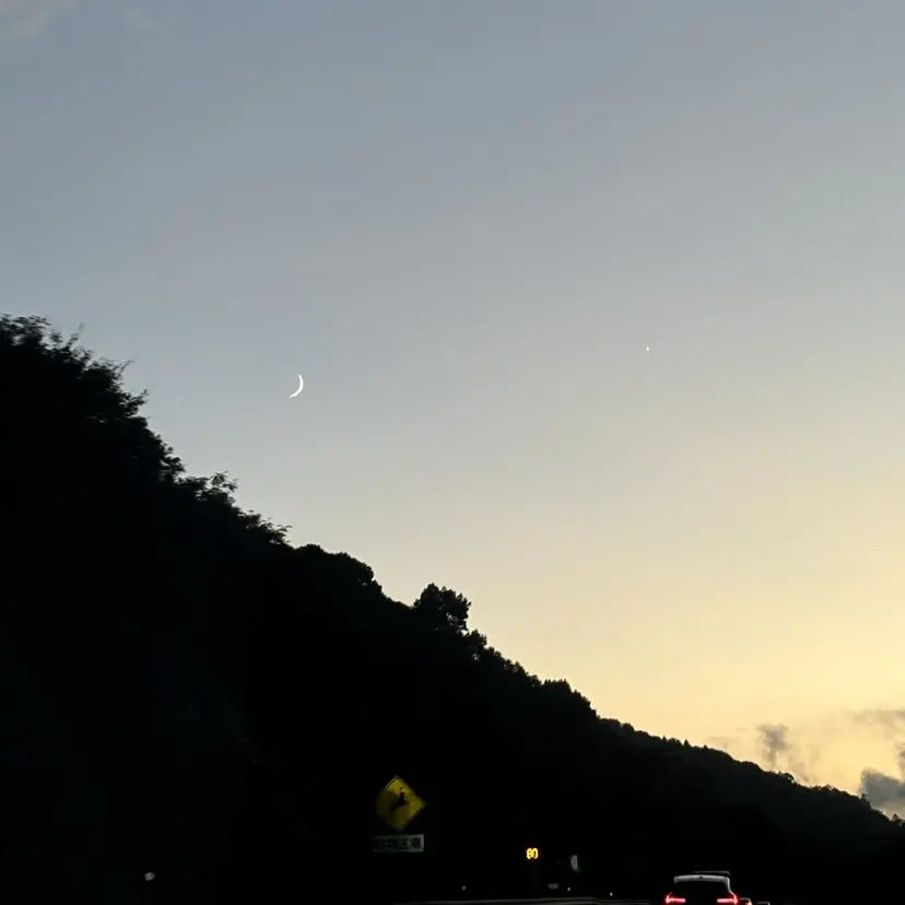 🤍Resta🪄 Shizukaの掲載