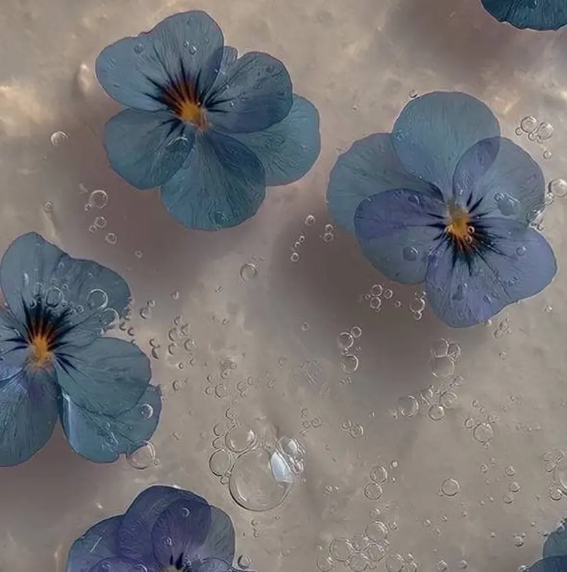 石井 侑多の掲載