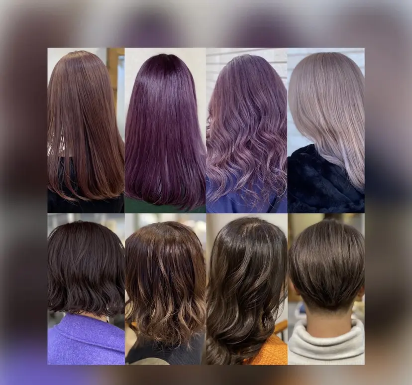 安住 千明の掲載