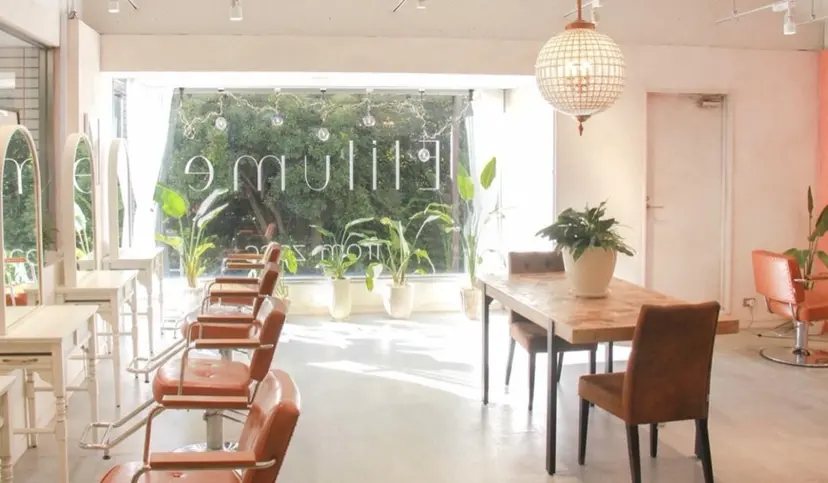 Suzuha Elilumeの掲載