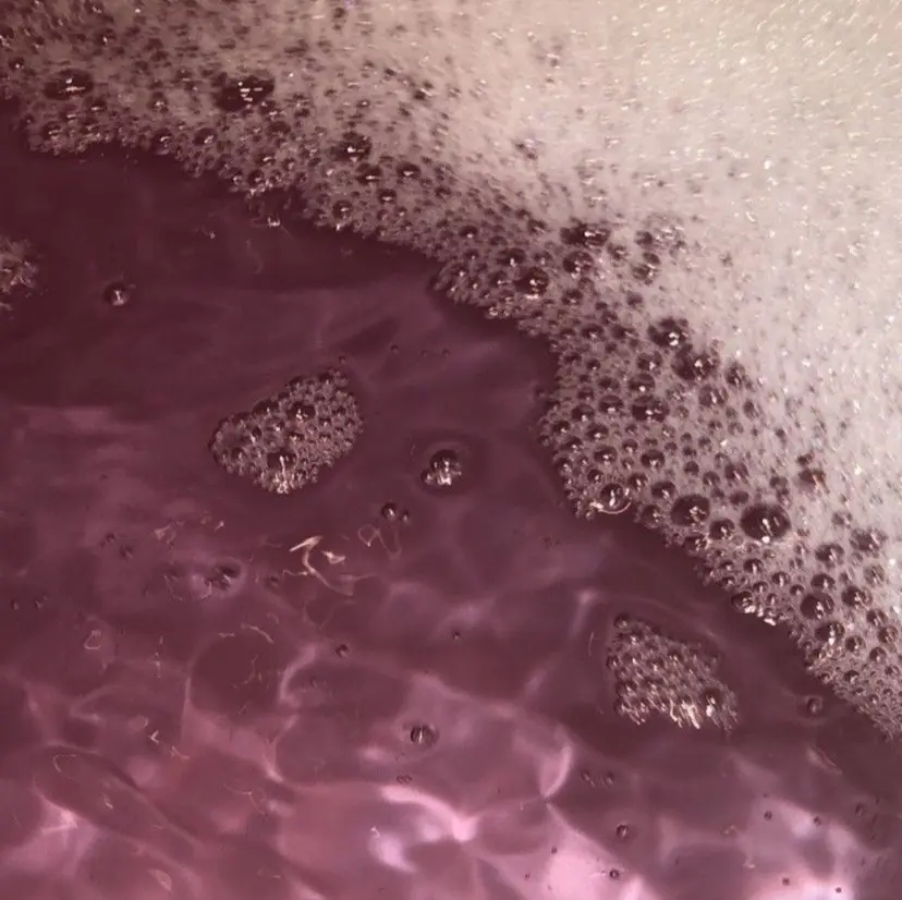 小林 妃那の掲載