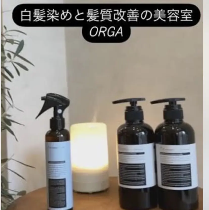 飯塚 朋代の掲載