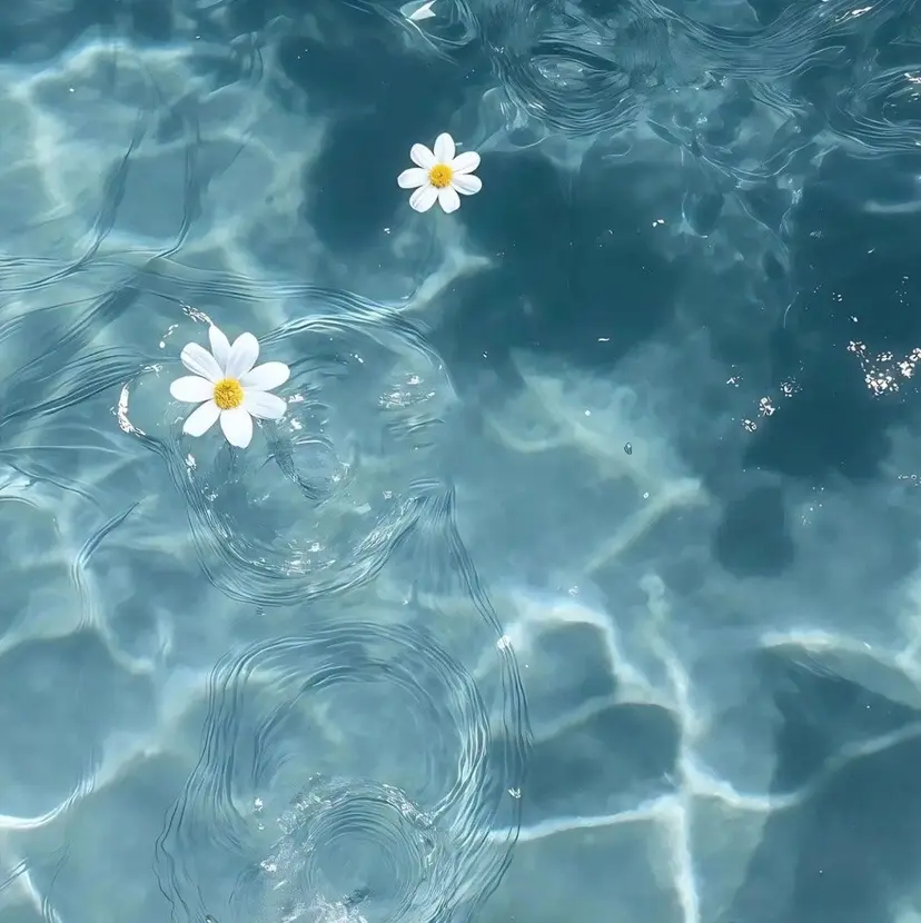 PLATINUM DOLL南草津店 ♡の掲載