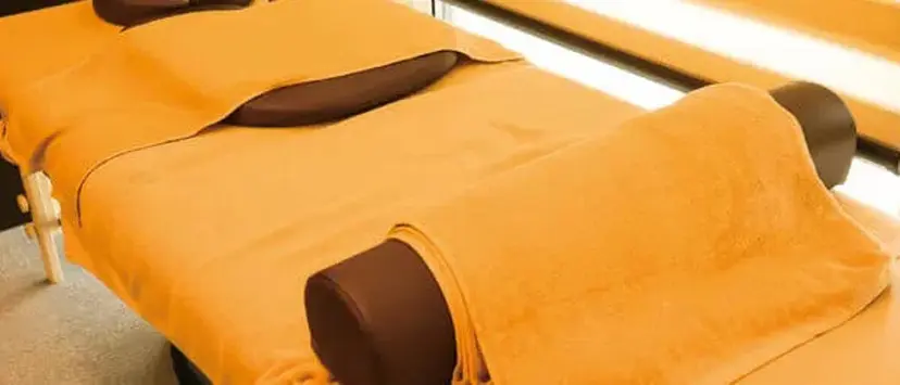 笹島 早苗の掲載