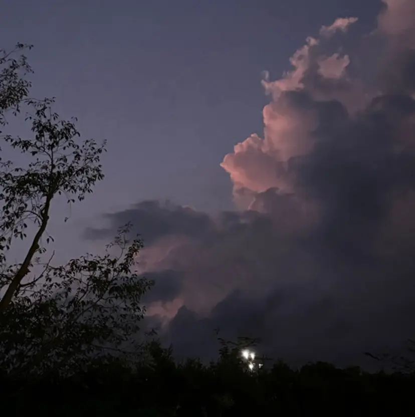 小池 かなこの掲載