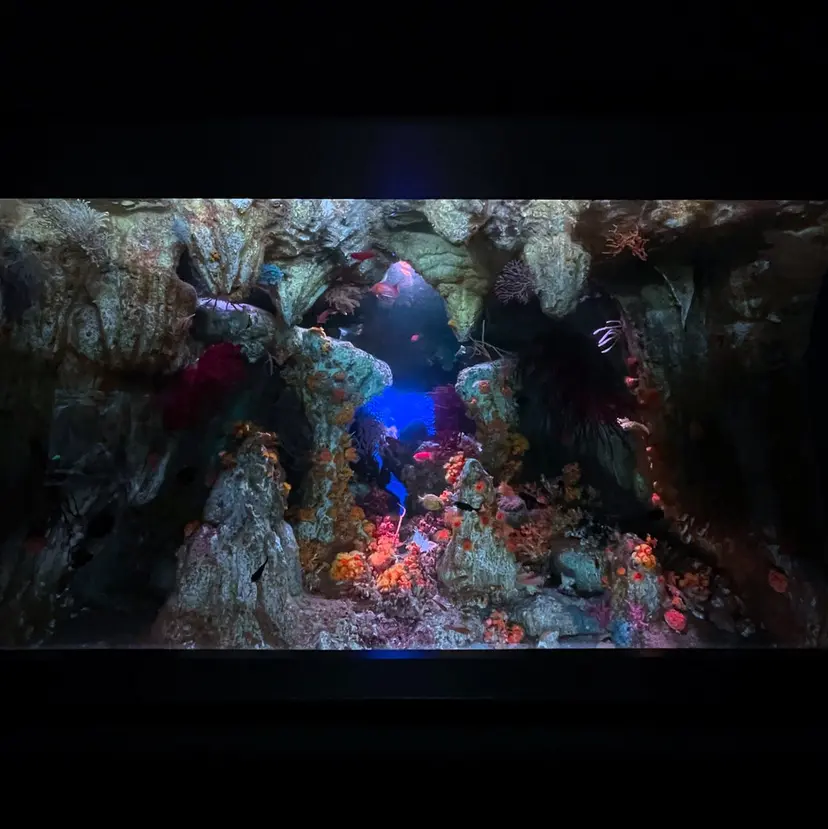 優乃 ❄️の掲載