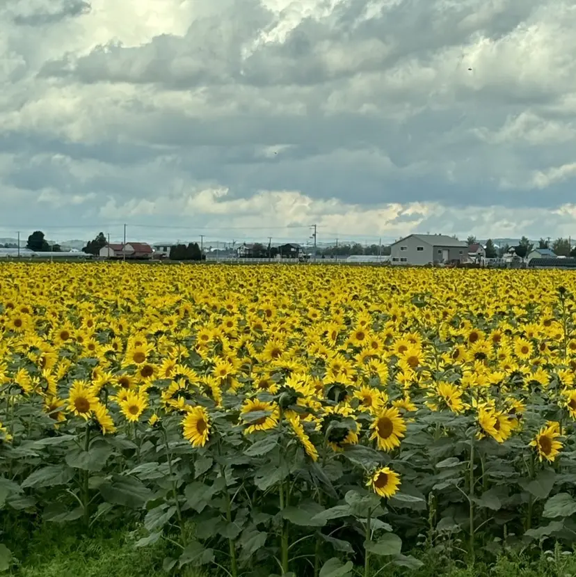 ☀️原口 陽太☀️の掲載