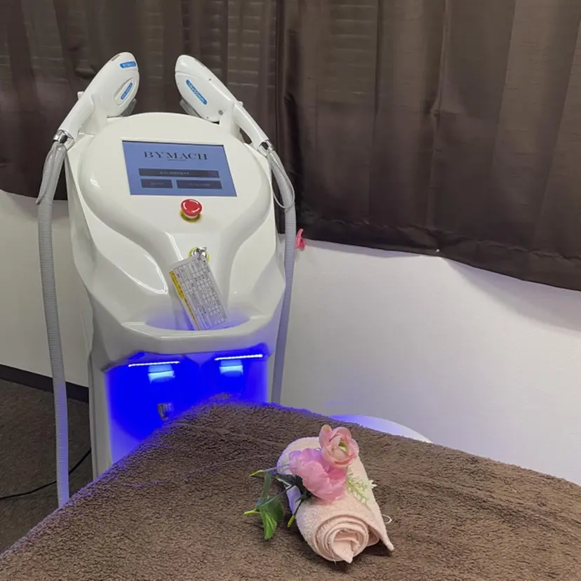 アネラ ルナの掲載