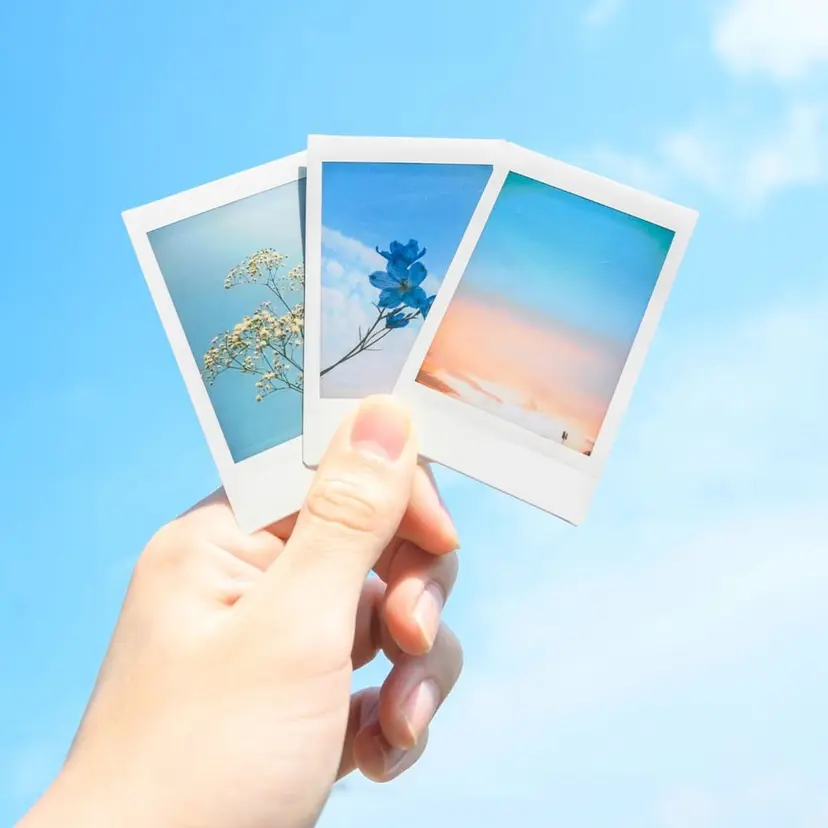 山本 あやめ子の掲載