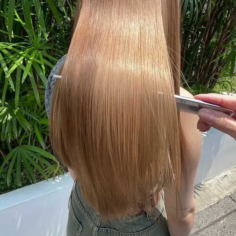 八幡 空乃の掲載