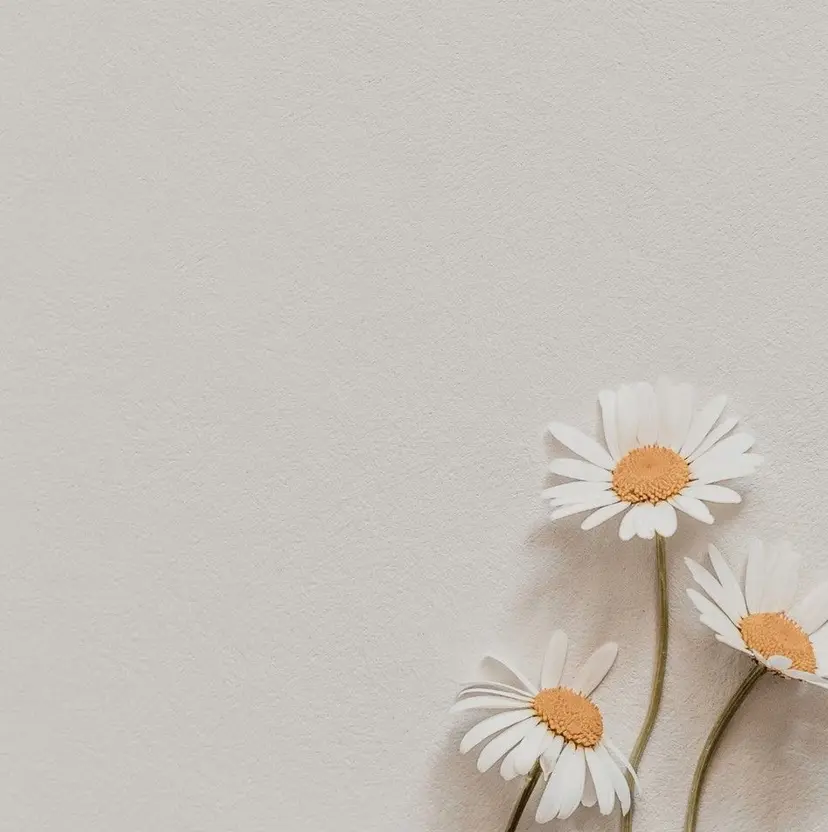 aya 🤍nailの掲載