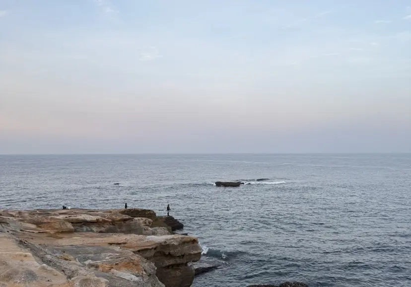 Koko . 【高円寺】の掲載