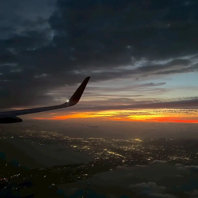 植松 みくの掲載