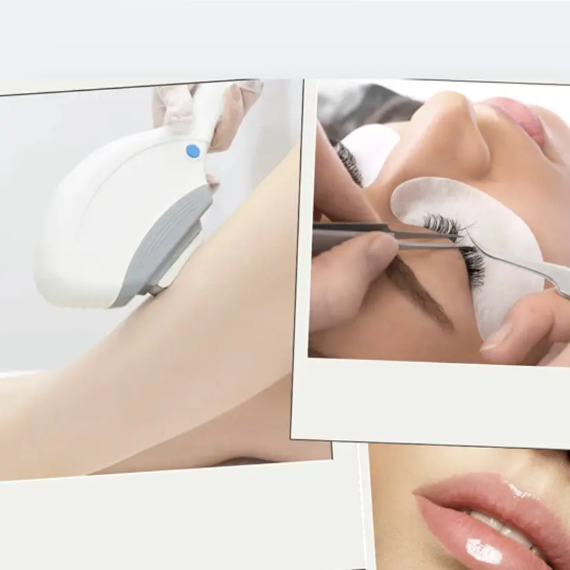 SAKURA itaniの掲載