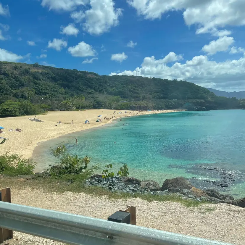 佐藤 まリんの掲載