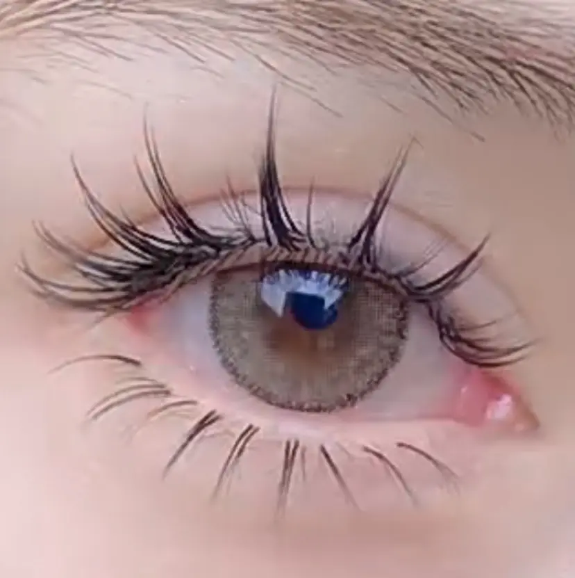 juane salonの掲載