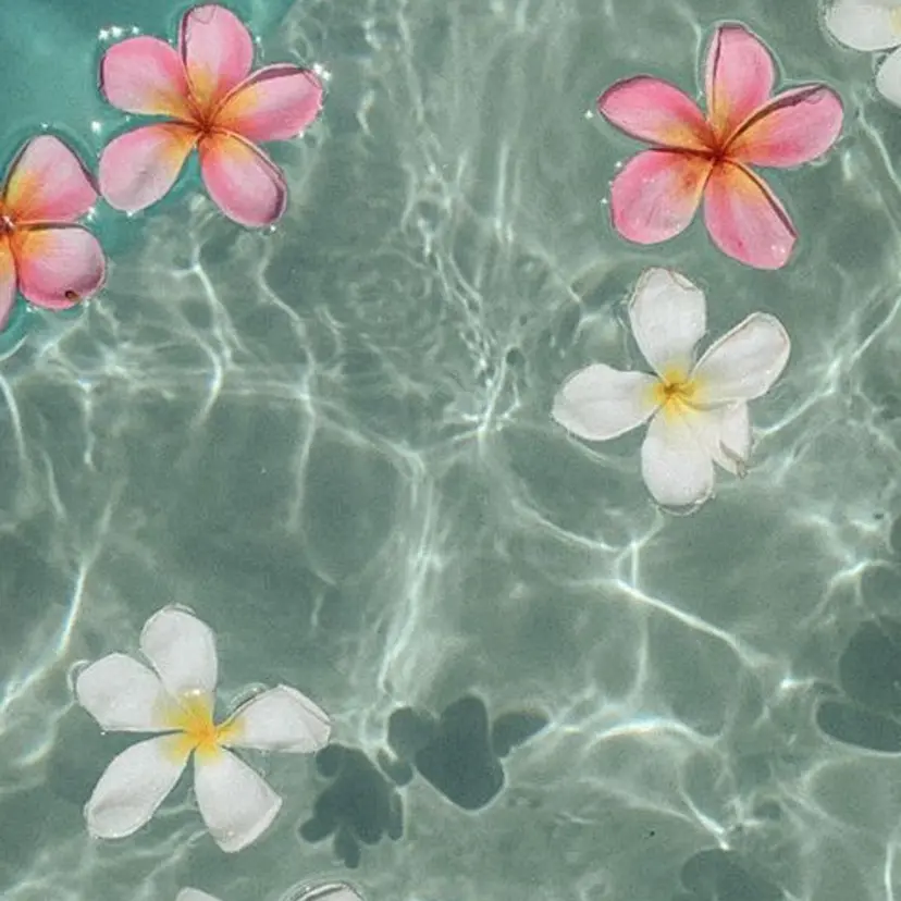 🌺Yuuki 𓂃🫧‪の掲載