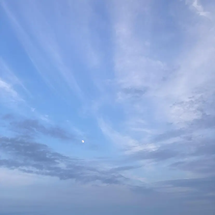 ハイトーンカラー/ ダブルカラー/EMIの掲載