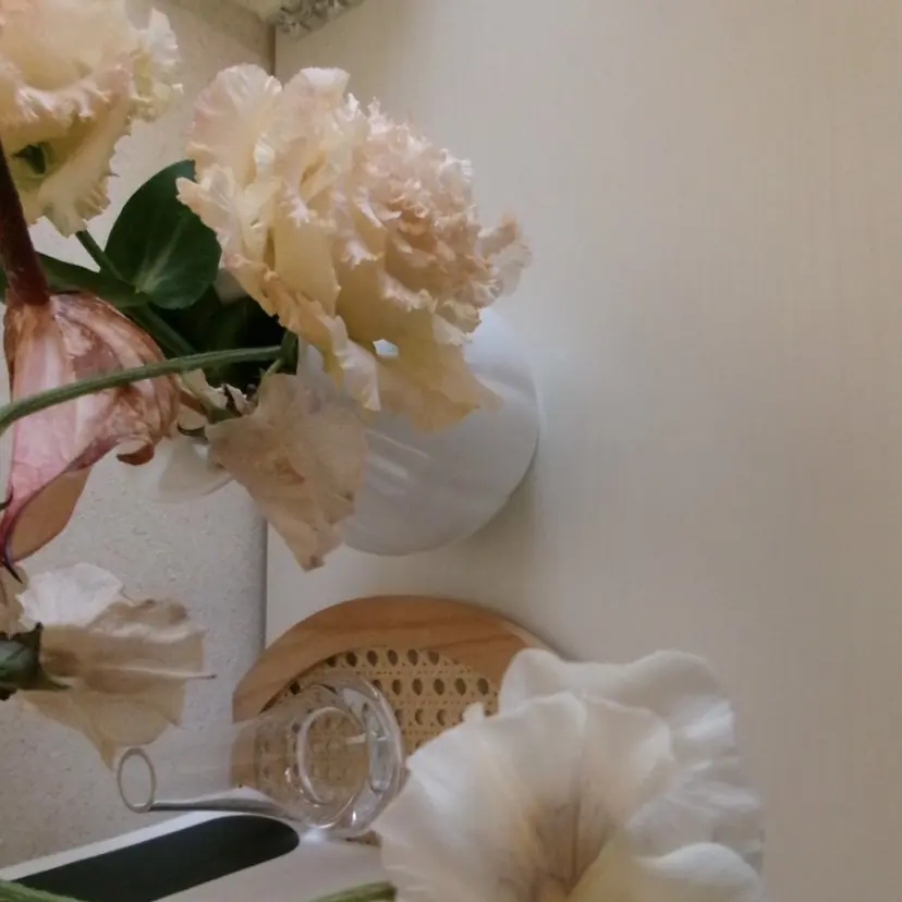 🪽marl鈴鹿 / 藤田翔子🪽の掲載