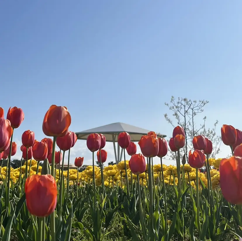 えんぐちとも／透明感 カラー／博多ボブの掲載