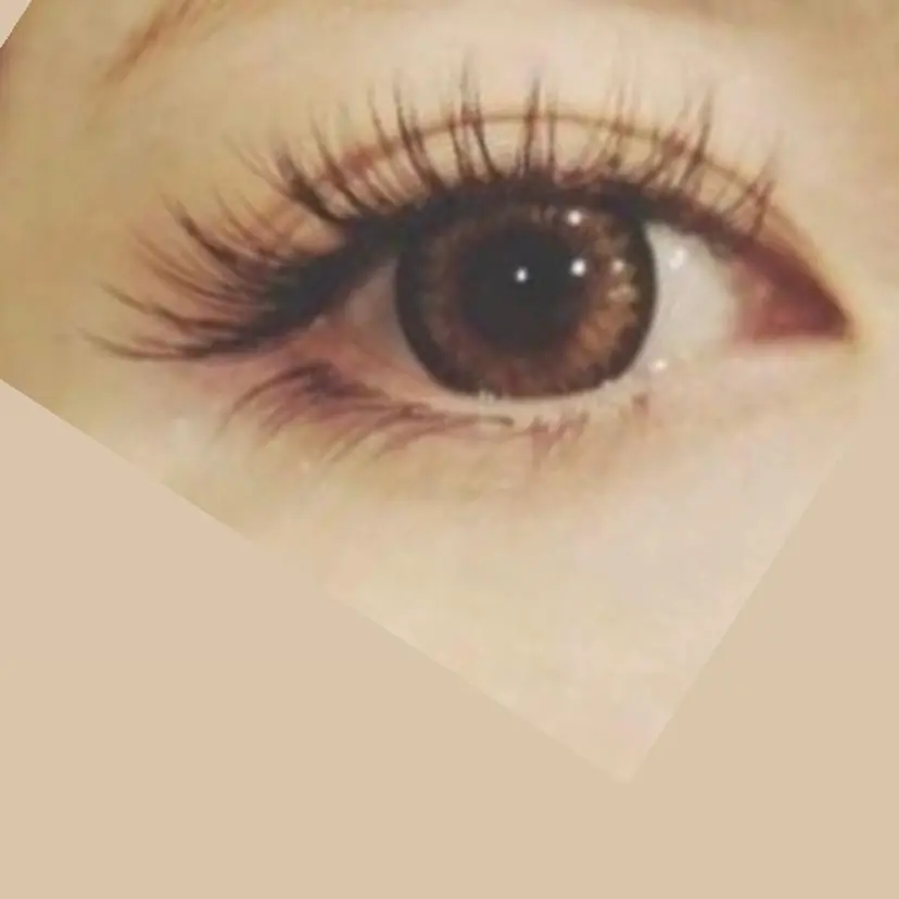 Lino 沖田恵子の掲載