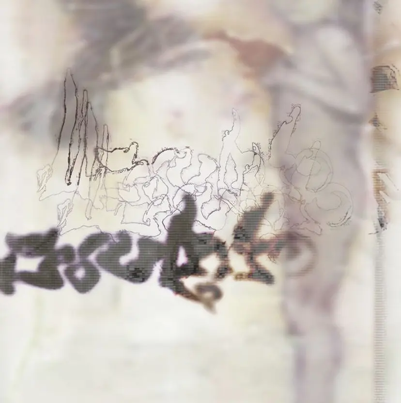 青木 妃代梨の掲載