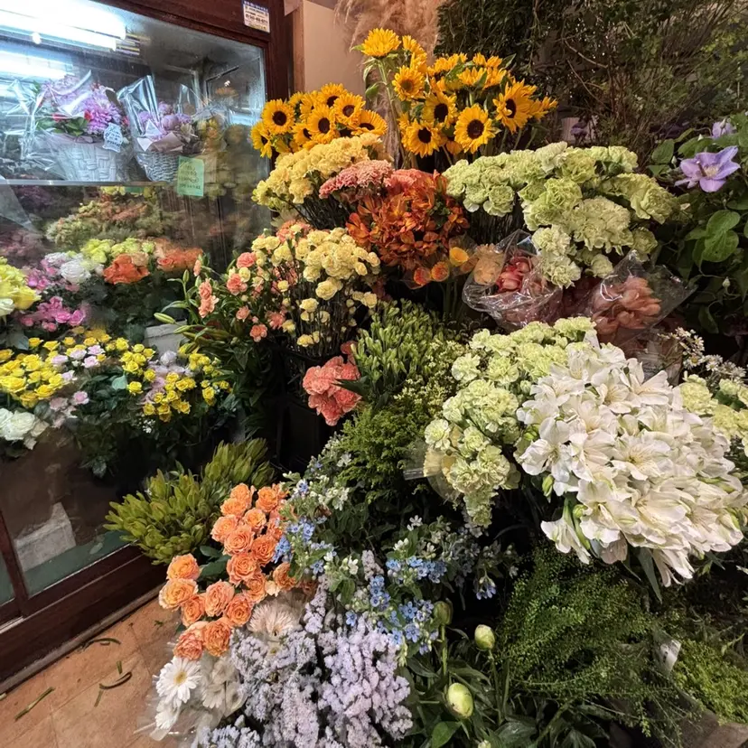 小松星空 GRAND TRUTH市川店の掲載