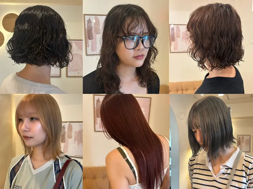 シンバヒナノ/パーマ レイヤー/髪質改善の掲載